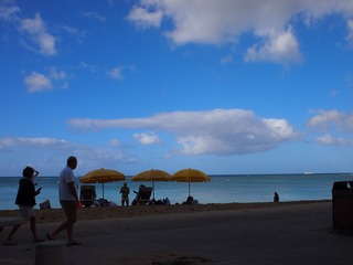 P2251466.jpg